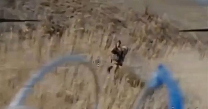 Оператори безпілотників Сил спеціальних операцій знищили чотирьох солдатів російської армії в районі Покровського. ВІДЕО