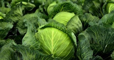 В Україні спостерігається різке зростання цін на один з овочів, який входить до складу традиційного борщового набору.