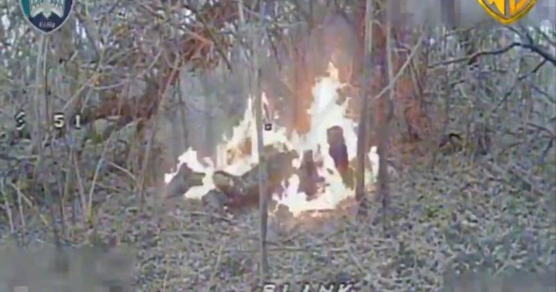 Дронарі бригади WORMBUSTERS 414 вразили ворога в заростях на Покровському напрямку. Дивіться ВIДЕО.