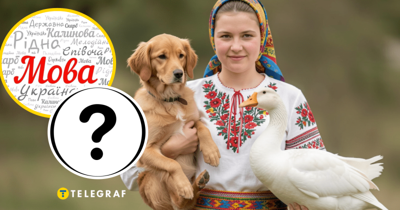 Порівнюючи пісні, гуси бешкетували: звідки виник цей вираз і чому його вживають українці?