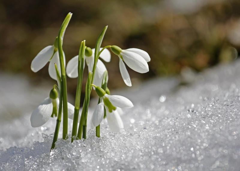 Свято 19 березня 2026 року: цікаві факти, події та обмеження.