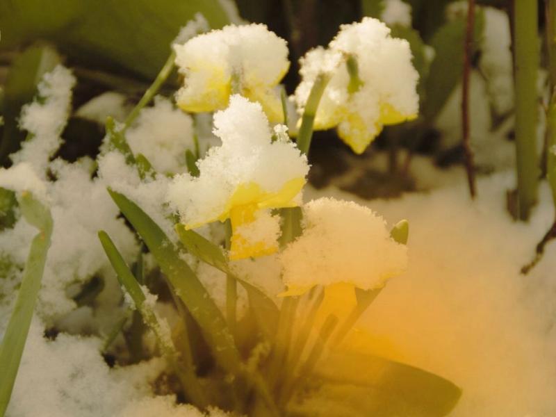 Від -1 до +13: метеорологи зробили прогноз на завтрашній день, до чого варто бути готовими.