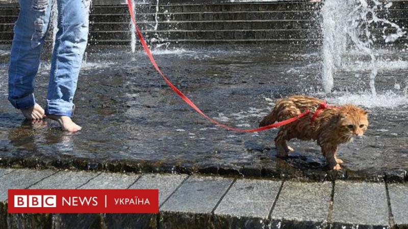 Літні температури в Україні та світі досягли рекордних значень - BBC News Україна