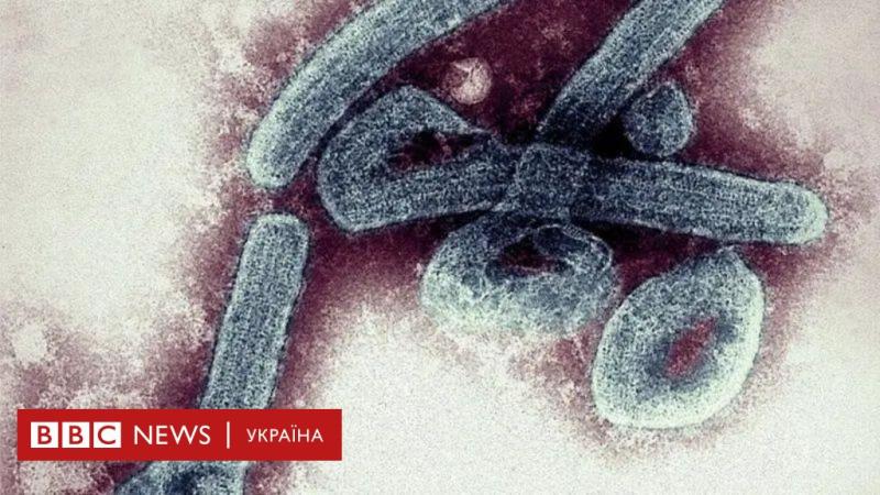 Вірус Марбург: ознаки захворювання та способи передачі - BBC News Україна