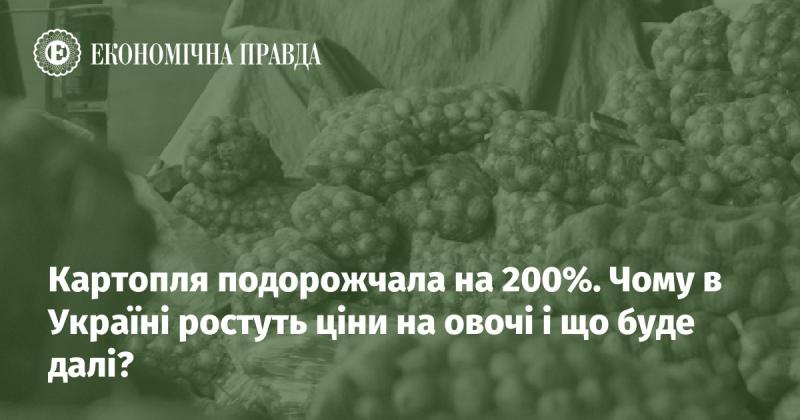 Ціна на картоплю зросла на 200%. Які причини підвищення вартості овочів в Україні та які перспективи в цьому напрямку?