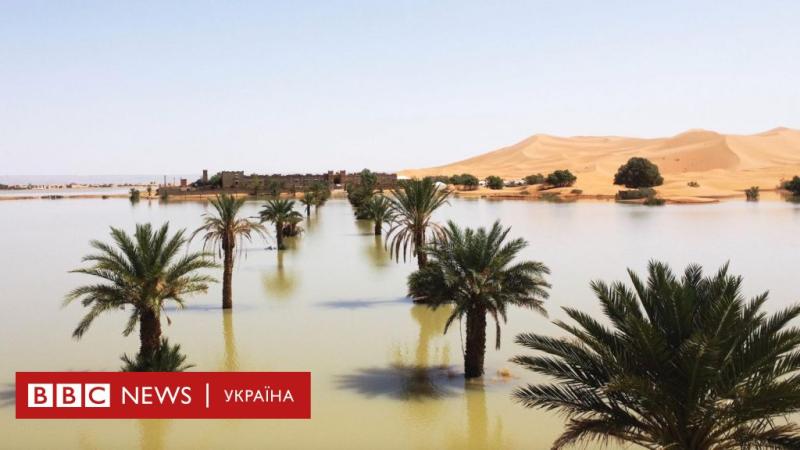 Повінь у Сахарі: як одне з найпосушливіших місць планети стало жертвою затоплення - BBC News Україна.