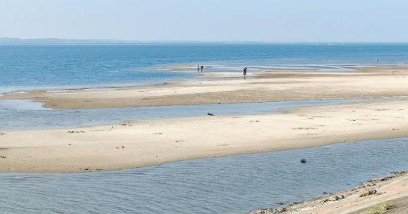 Київське море зазнало значного зниження рівня води: експерт з екології вказав на можливі фактори та ризики.