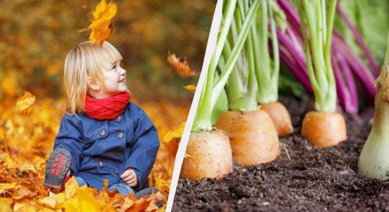 Що дозволено і заборонено 5 листопада: народні звичаї для гармонії в родині.