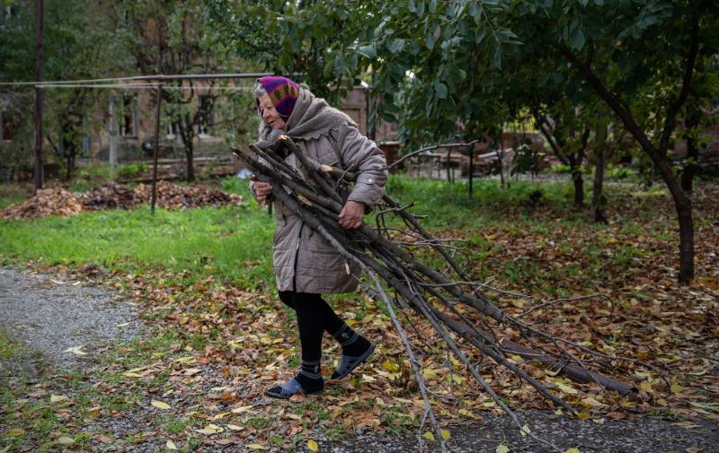 Яка максимальна кількість дров дозволена для зберігання, щоб уникнути покарання: роз'яснення розробників законопроєкту.