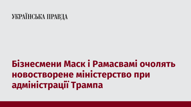 Підприємці Маск і Рамасвамі стануть керівниками новоствореного міністерства в рамках адміністрації Трампа.