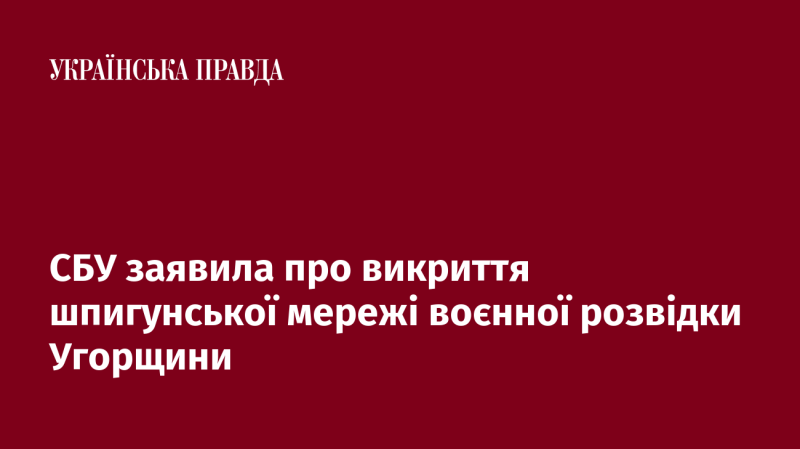 Служба безпеки України повідомила про виявлення розвідувальної мережі, яка діяла на користь угорської військової розвідки.