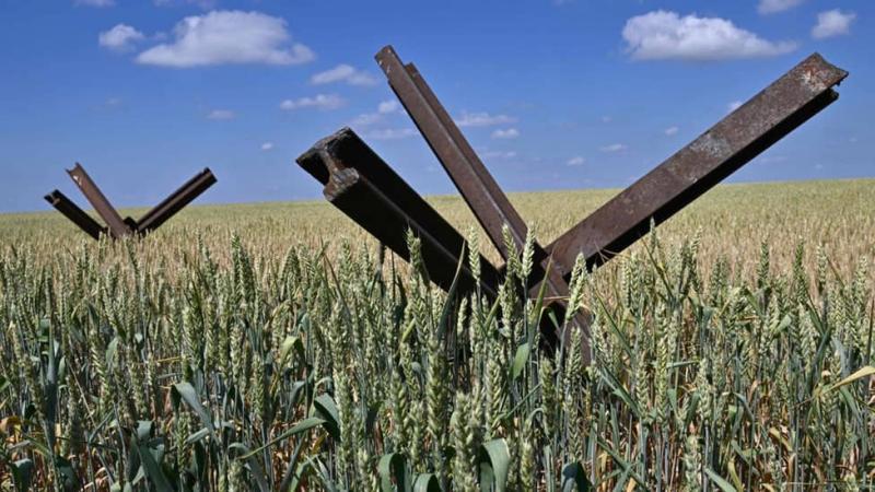 ЗМІ повідомляють, що Європейський Союз тимчасово поновить квоти на імпорт української сільськогосподарської продукції.