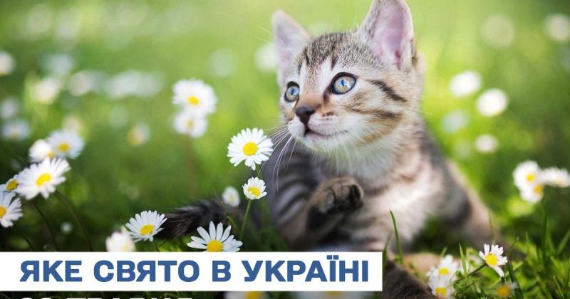 Що чекає нас завтра, 29 травня? Яке святкування відзначають в цей день? Усе про це свято, які церковні традиції пов’язані з ним, а також що варто уникати.