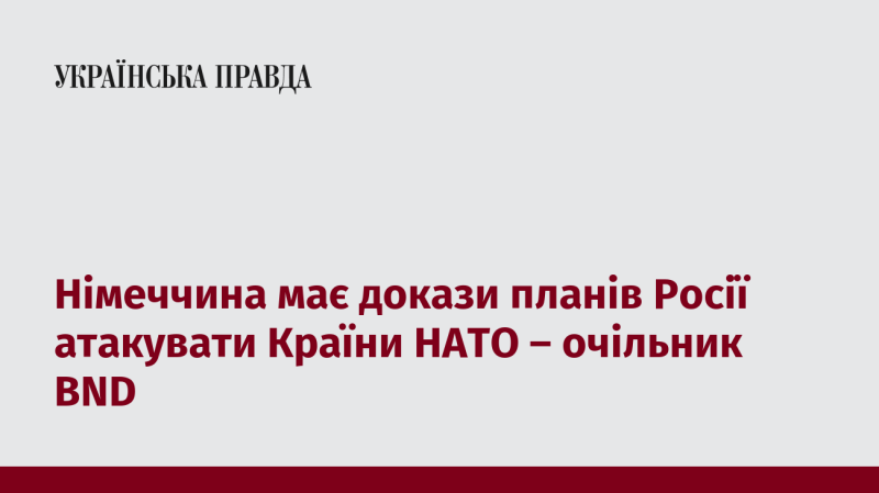 Німеччина володіє інформацією про наміри Росії здійснити атаки на держави НАТО, заявив керівник BND.