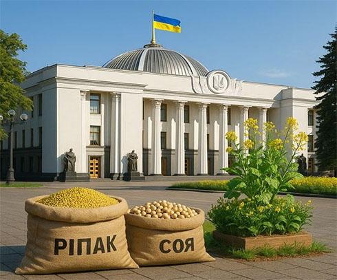 Експортне мито у розмірі 10% на ріпак і сою сприяє зниженню цін на ці культури в Україні.