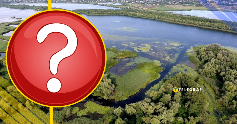 На острові Хортиця вперше було зафіксовано незвичайну тварину: вчені більше 20 років дослухалися до її 