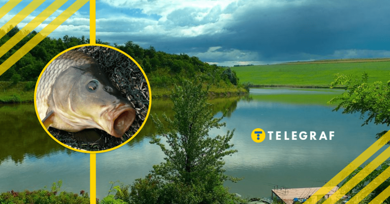 Рибалка спіймав відразу двох великих коропів: на якому водоймі йому вдалося досягти такого успіху (відео)