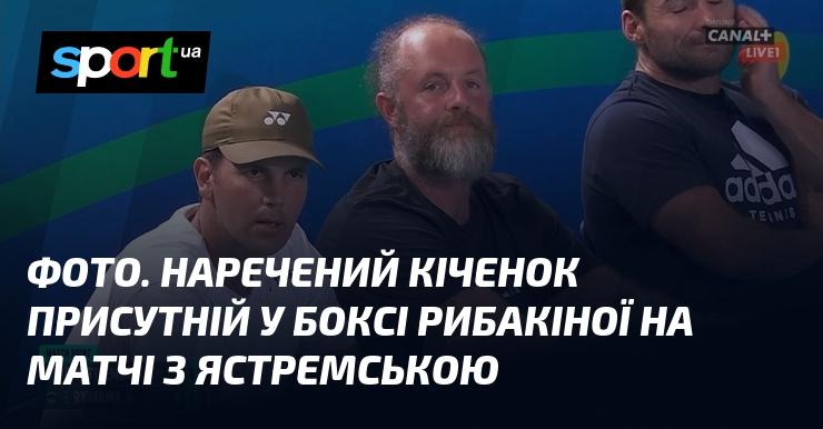 Зображення. Наречений Кіченок спостерігає за матчем Рибакіної проти Ястремської з боксу.