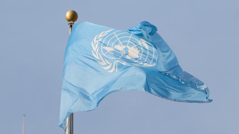 ООН збільшить свою допомогу у розчищенні сільськогосподарських земель від мін, вдосконаленні іригаційних систем та розвитку насінництва в Україні.