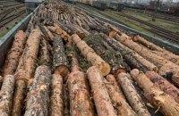 В Україні виявлено значну контрабандну мережу, яка займалася вивезенням цінної деревини до Румунії залізничним транспортом.