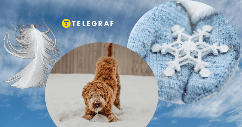 Температурні показники різко знизяться: коли в Києві очікуються холоди та снігопади.