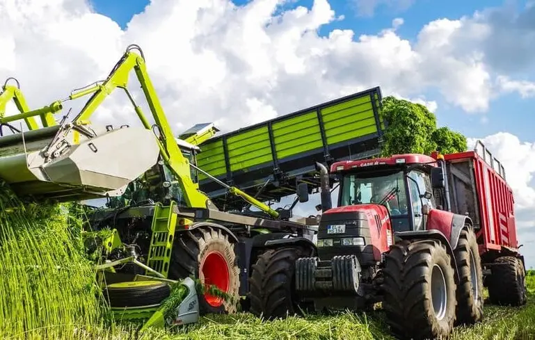 У найближчому майбутньому коноплі та горох можуть стати новим перспективним напрямком для українських агровиробників, замінивши соняшник.