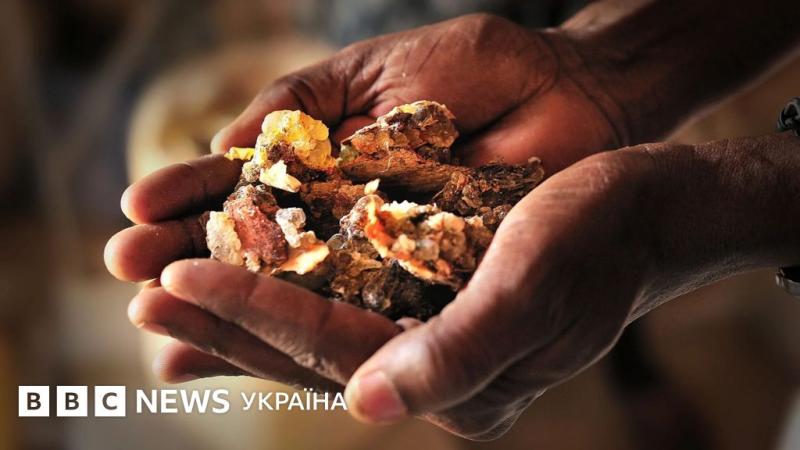 Ладан: його джерела та причини зникнення цих цінних ароматів - BBC News Україна