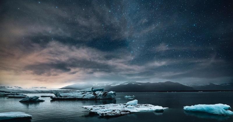 В Антарктиці знайшли незвичайну комаху: як їй вдається існувати в умовах крижаного безлюддя.
