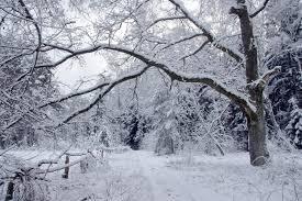 Температура знизиться до -24 градусів, а ожеледиця триватиме 