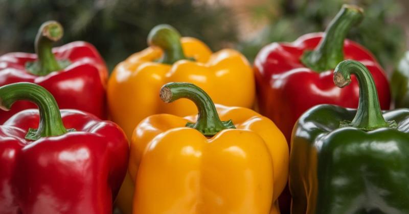 Болгарський перець здатен зміцнити імунну систему в умовах