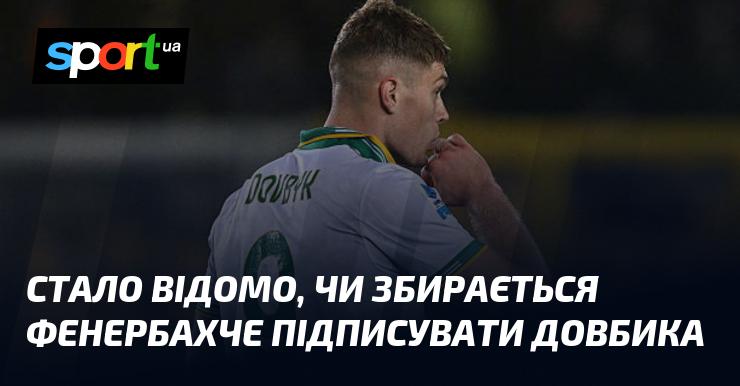 З'явилася інформація про наміри Фенербахче щодо підписання Довбика.