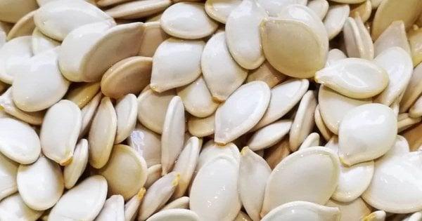 Вражаючий результат: як правильно підготувати насіння кабачків для досягнення максимального врожаю.