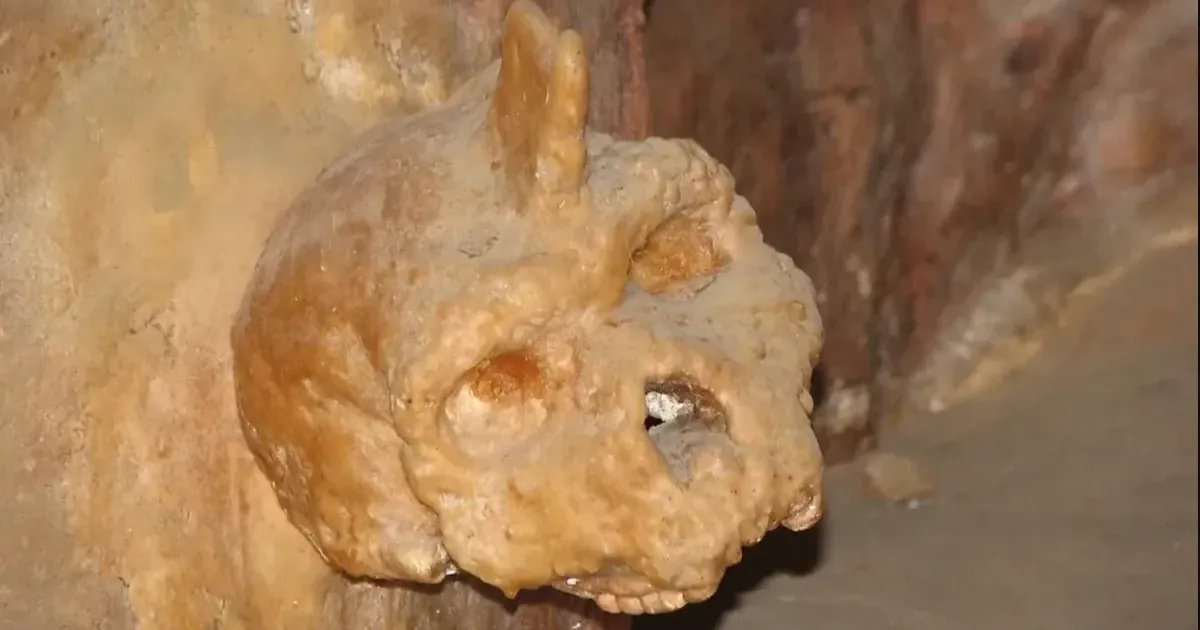 Викликавши зацікавленість науковців: череп віком близько 300 тисяч років суттєво змінив наше розуміння еволюційного розвитку людини.