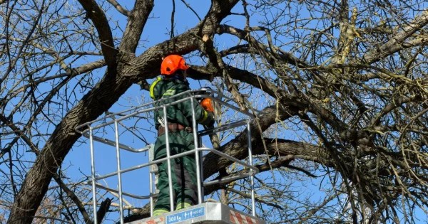 Після буревію в 