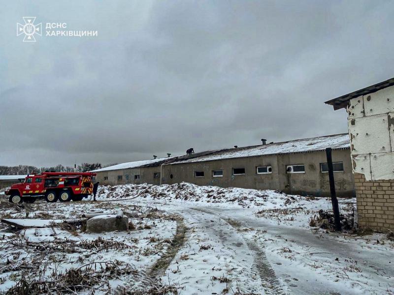 Приблизно 100 свиней загинули внаслідок обстрілу окупантами фермерського господарства в Харківській області - Новини Весь Харків.