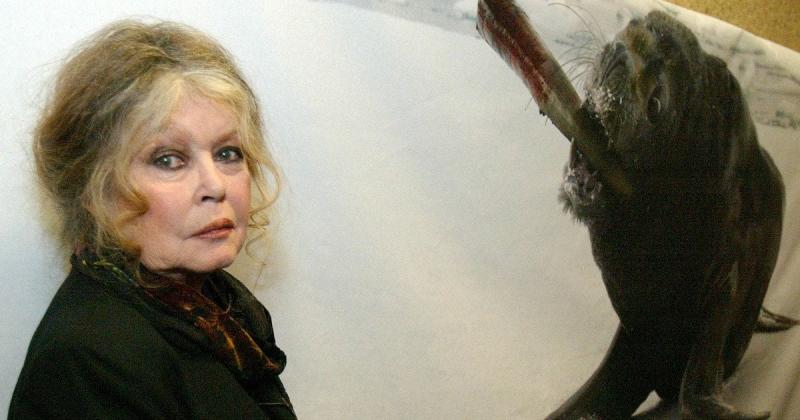 Вшанування спадщини Бріжіт Бардо на церемонії вручення премії 