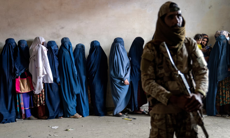 Новий закон в Афганістані викликав міжнародний резонанс: за побиття дружини передбачено 15 діб арешту, а за жорстоке поводження з тваринами — до 5 місяців ув'язнення.