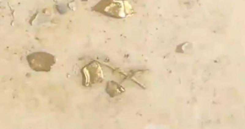 Чоловік виявив у шлунку качки золото вартістю понад 78 000 гривень — дивовижні фото.