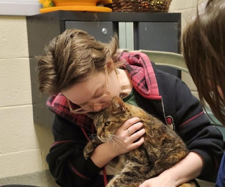 Кішка на ім'я Артеміда пропала з дому на цілих п'ять років. Де ж вона могла бути весь цей час і хто став її рятівником?