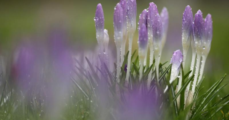 Погода в Україні 2 квітня: температура підніметься до +19° і можливі дощі - Новини bigmir)net