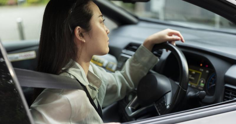 Чи здатний український авторинок витримати китайську експансію: BYD та Zeekr вже займають провідні позиції - Delo.ua