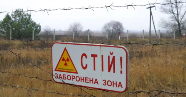 У зоні Чорнобиля вже більше п'яти років триває незаконне вирощування пшениці та кукурудзи.