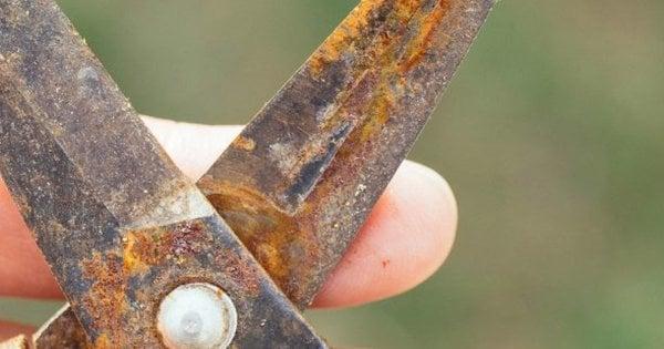 Легкий спосіб у домашніх умовах: як позбутися іржі на садових інструментах.
